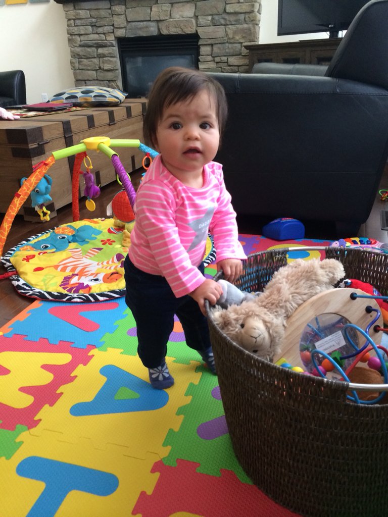 JRudakewich's tweet photo. She's standing!  #uhoh #cantkeepupwithher #growinguptoofast https://t.co/gNmDiGtXjc