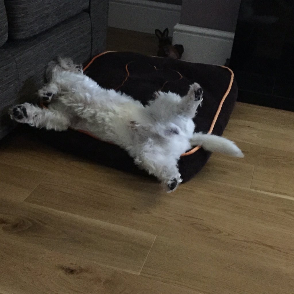 LittleLewieBoo's tweet photo. Big brother says I'm strange. https://t.co/WpZWGyQNAQ