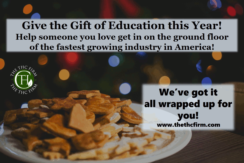 TheTHCFirm's tweet photo. https://t.co/rwUEnxlX0l #THCeducation #gogreenprogram #medicalmarijuana https://t.co/xAcP0AfDmd