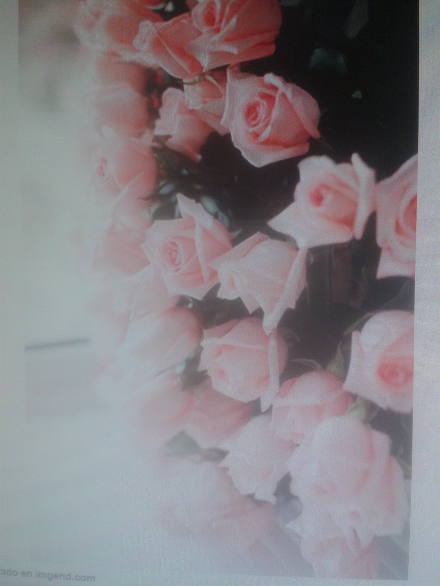 silmagdala's tweet photo. @dmarisalon @marinab2702 @pattijosette @Silau25 @ROSA00733010 @carmenm91057666 @MARDALAI @Lacoti2 @Gotitasdelalma https://t.co/WHDonr6OJU