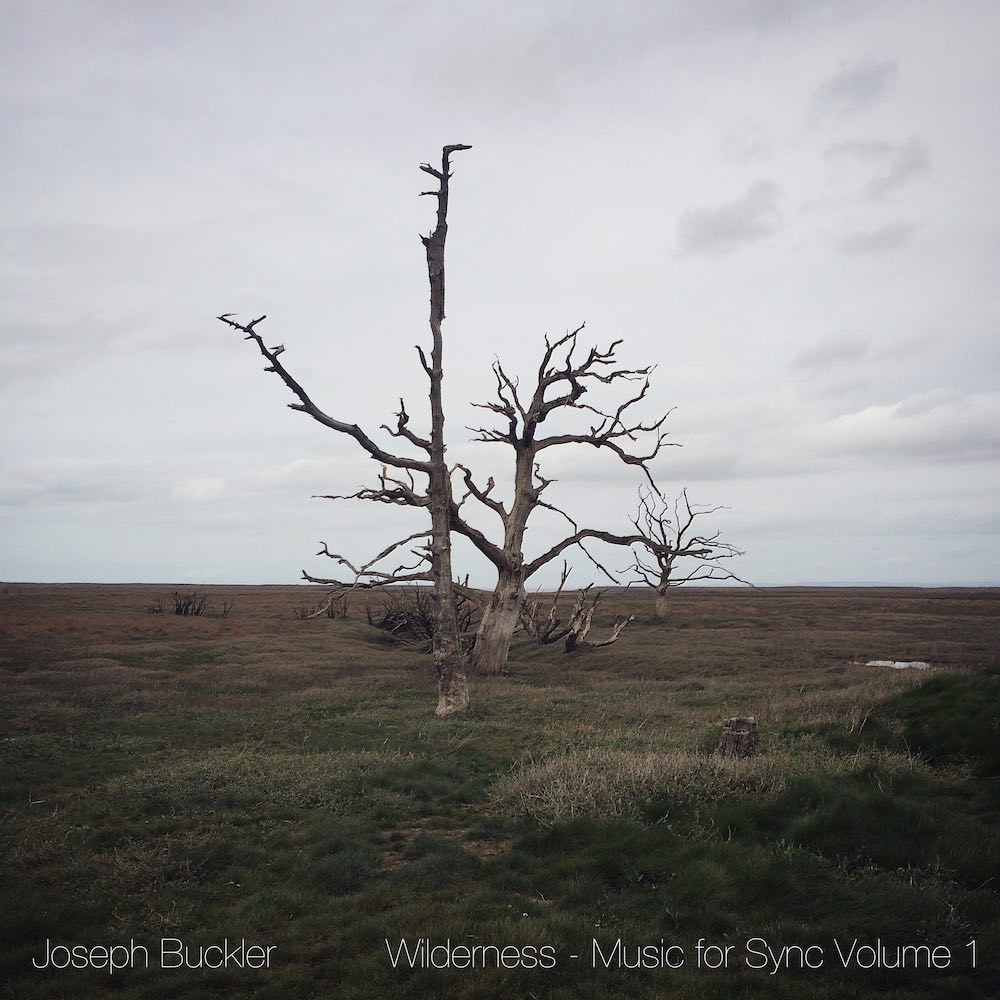 therealbailokid's tweet photo. Joseph Buckler - Wilderness https://t.co/cTr4DZoGMh #kickerbacker https://t.co/mwqhnCSgok