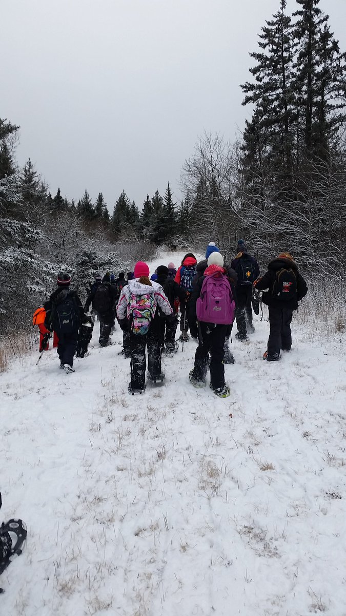MummyInTheSands's tweet photo. Guided snowshoe trek in Spruce Woods Provincial Park 🌲❄  #mbparks #exploremb #ExploreCanada #parkinterpreter https://t.co/KI1NGHtPNS