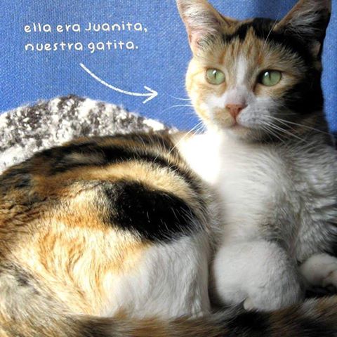 A DOS días de terminar nuestra campaña te presentamos a quien nos inspiró para  crear #JuanitaCarey