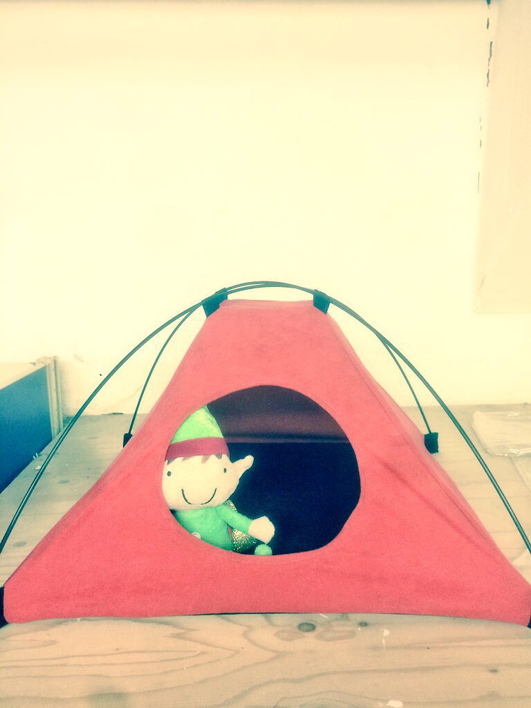 Diamond Pet Supplies tweet media