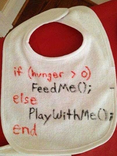 WebDevHumour's tweet image. DevDad Lad
