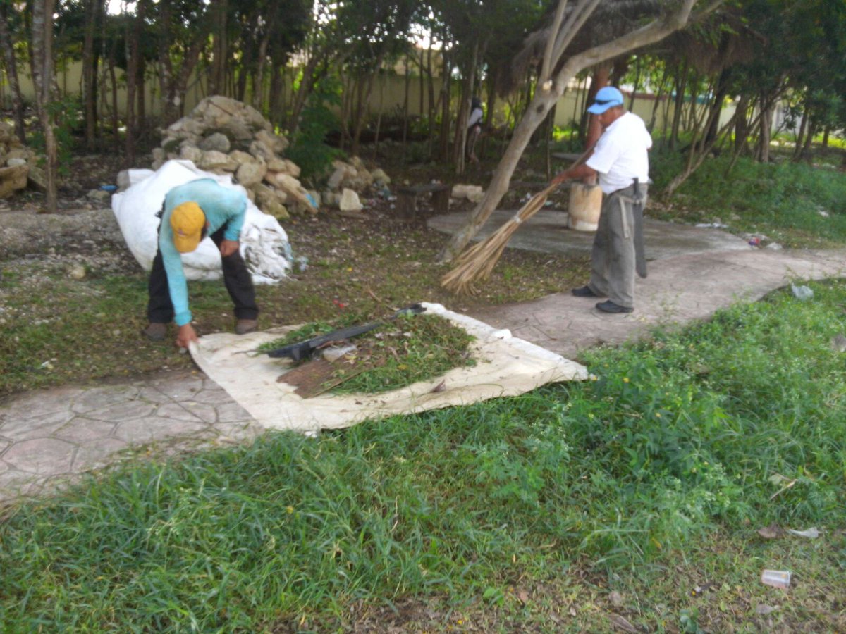 ServiciosPubSOL's tweet photo. Limpieza parque av. Constituyentes/Lilis fracc. Mision las flores @GobSolidaridad @MauricioGongora @NoelCrespoPlaya https://t.co/7TCwYATPBH
