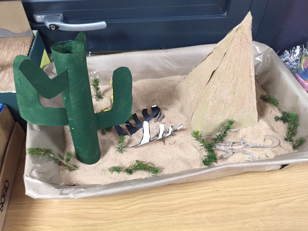 PP_Ladywell's tweet photo. Year One's home learning #habitats https://t.co/2fasPGxdmO