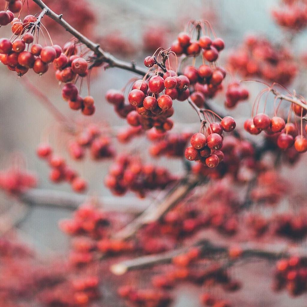 hollysisson's tweet photo. Monday, brought to you by the colour Red.
#Toronto #Ontario #explorecanada #VSCOcam #WHPt… https://t.co/i6clkbhJ23 https://t.co/4zXmKQ58tc