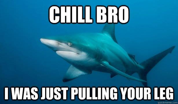 DrainShark's tweet photo. #DrainShark - Shark joke #Humor https://t.co/CeUfRizy1K