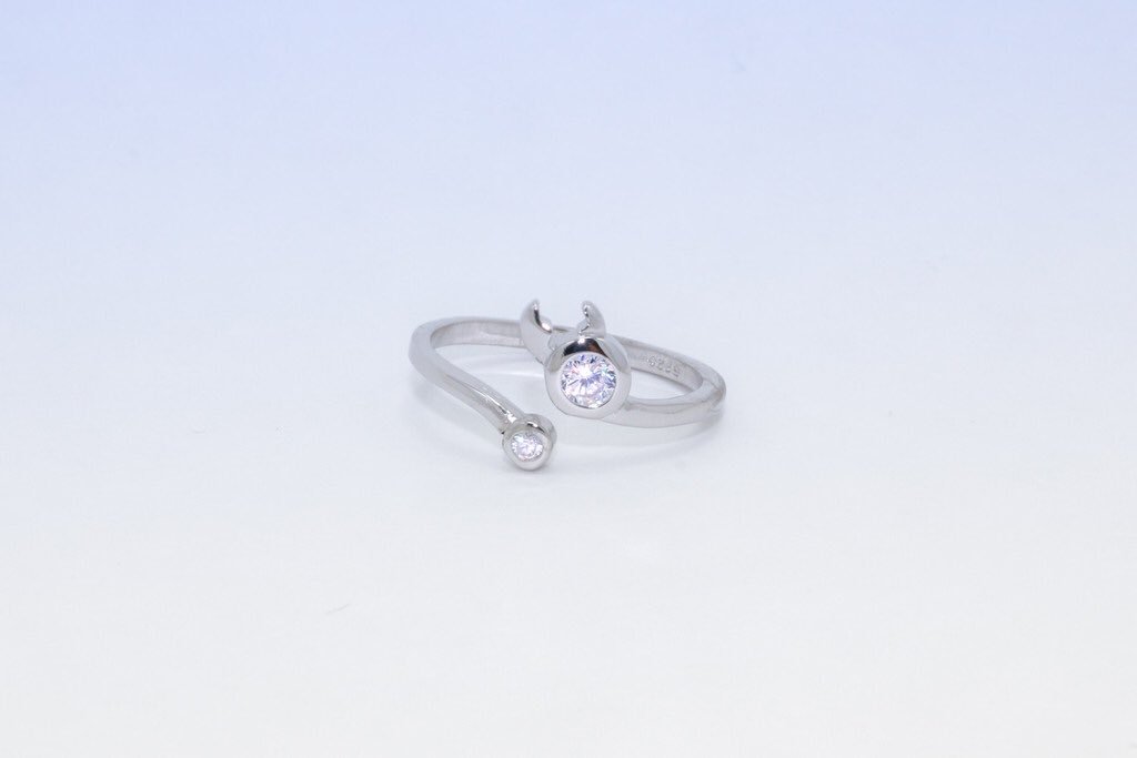 ZoboStyle's tweet photo. Zodiac Rings are almost out of stock! Get yours today before they are sold out @ZoboStyle 😍 https://t.co/xI1Z4bc3CN