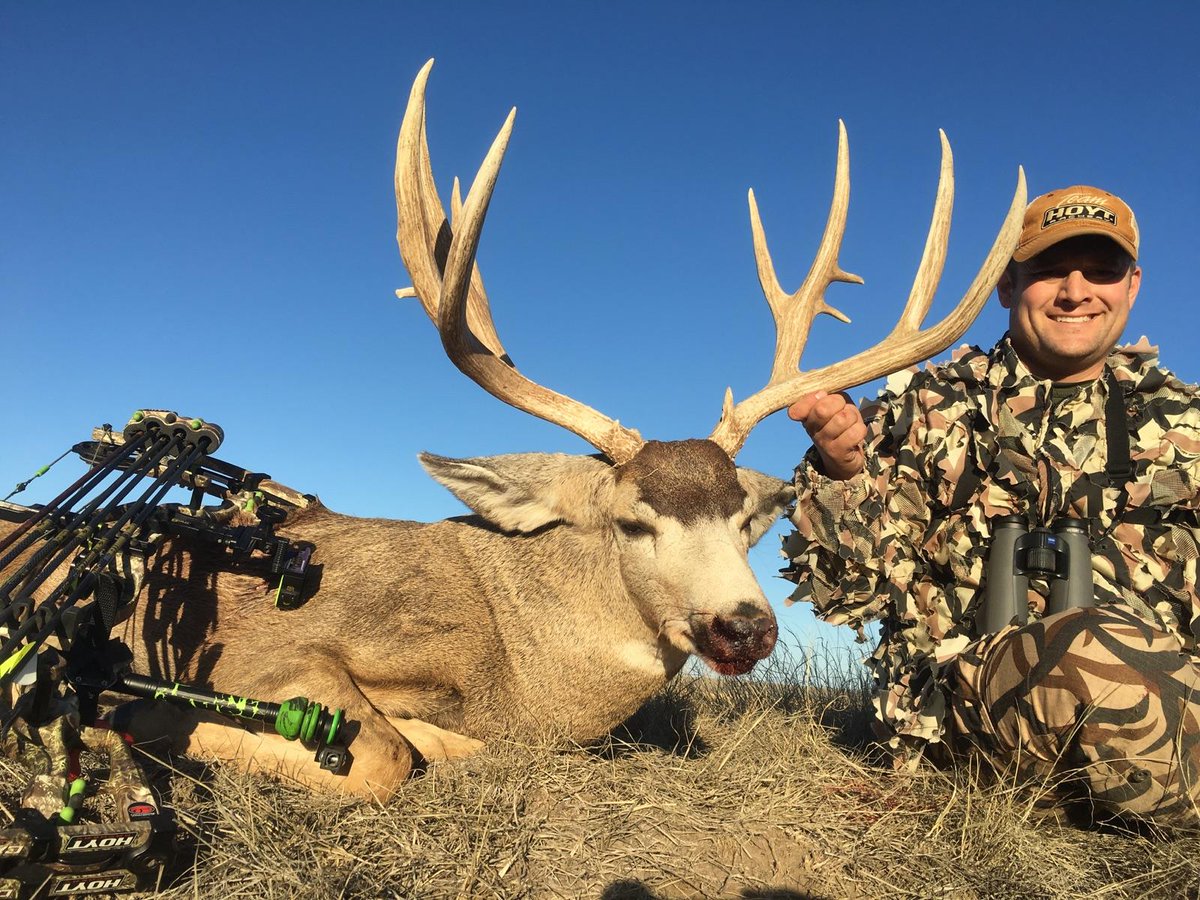 mattpalmquist's tweet photo. My Kansas buck from this fall! Ready for next year already! @HOYTARCHERYInc @ZEISShuntingus https://t.co/Iz6GhfZ27c