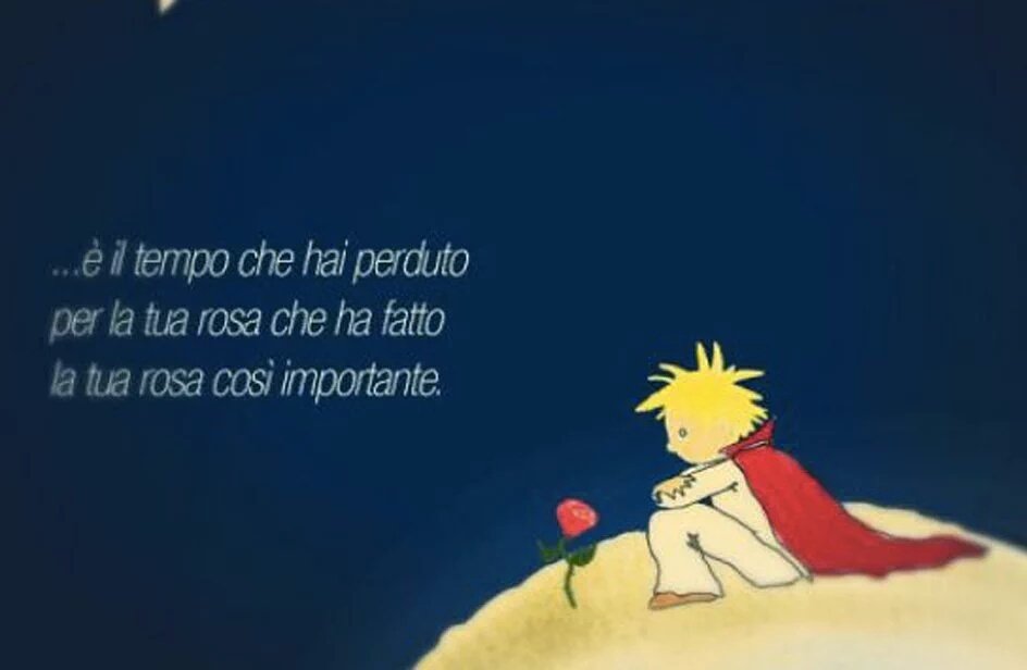 TalkingBears_Of's tweet photo. #piccoloprincipe https://t.co/OUkPMehv7V