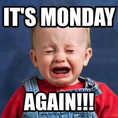 FlowerpotTauni's tweet photo. We know the feeling kid, we know the feeling...#Meme Monday #  Meme # Meme AboutMondays https://t.co/FPVVtews53