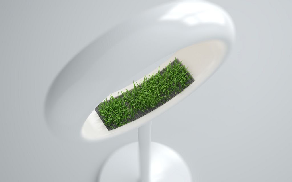 grasslamp's tweet photo. Become part of our green community. #Grasslamp Creating space for nature. https://t.co/07WfHYIRW0