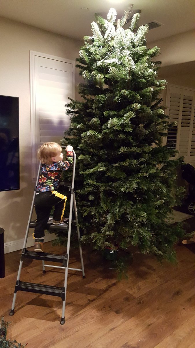 staffdirector's tweet photo. My 22mth old has no fear like his mama #9fttree #determinationcomesinallsizes https://t.co/A0f2eEMiNv