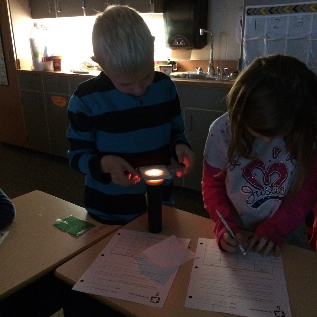 Mrs. Lucas' Owls tweet media