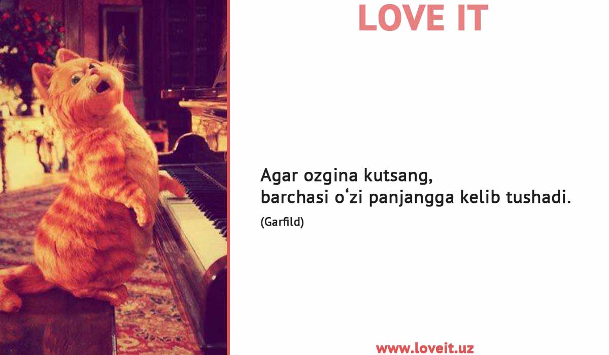 Love It (@loveituz) on Twitter photo 