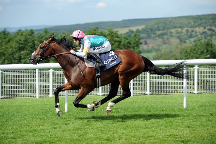 ArtToLifeLtd's tweet photo. Sale on select #Peruso aluminium prints this amazing one of #Frankel 20x16" only £150 incl delivery UK #horsehour https://t.co/rLXs81dUYe