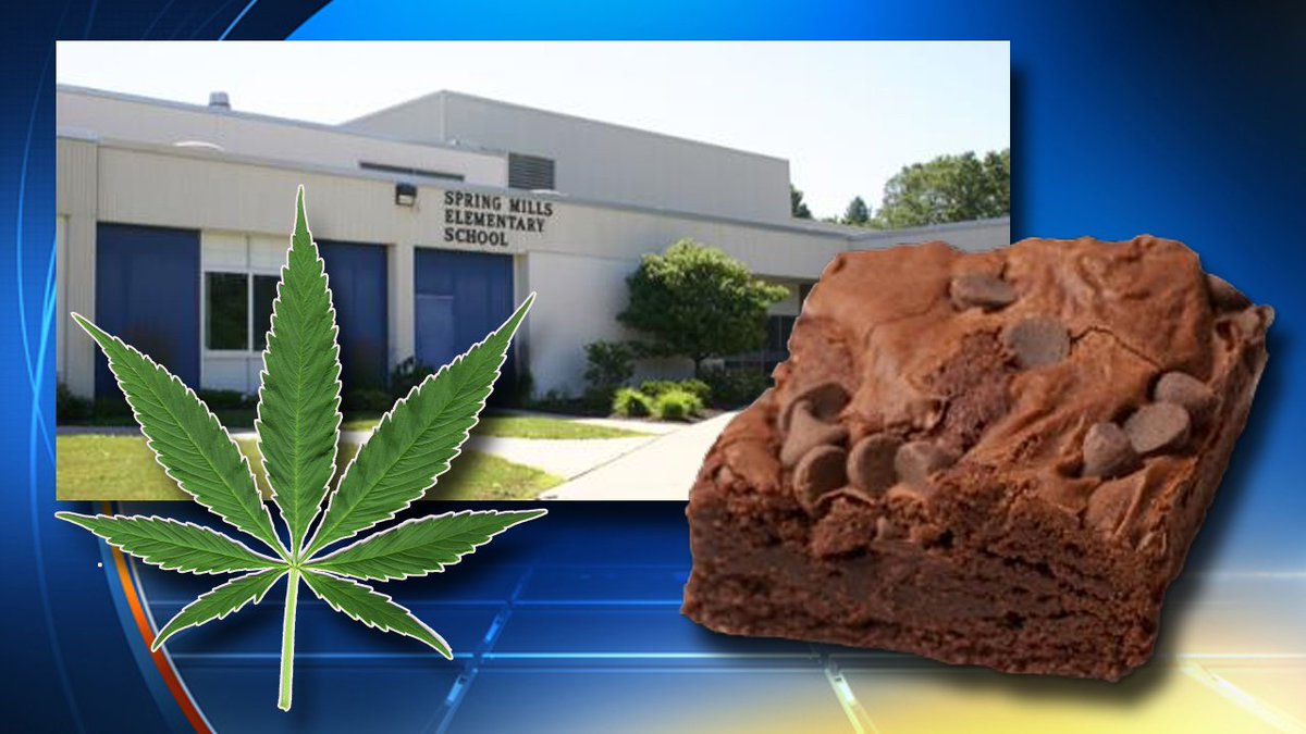 Elementary school teachers unknowingly eat #pot-laced brownies left in teacher's lounge bit.ly/1YaWKT1?utm_me… https://t.co/huSSiFoC01
