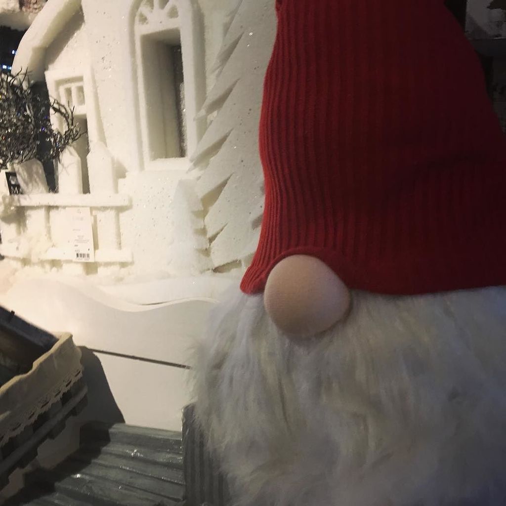 VivaiGraziella's tweet photo. Manca poco per Natale, siete pronti? #natale2015 #addobbi #addobbinatale #christmas #vivai… https://t.co/PLgFCkKpuq https://t.co/14VG7rHWa0