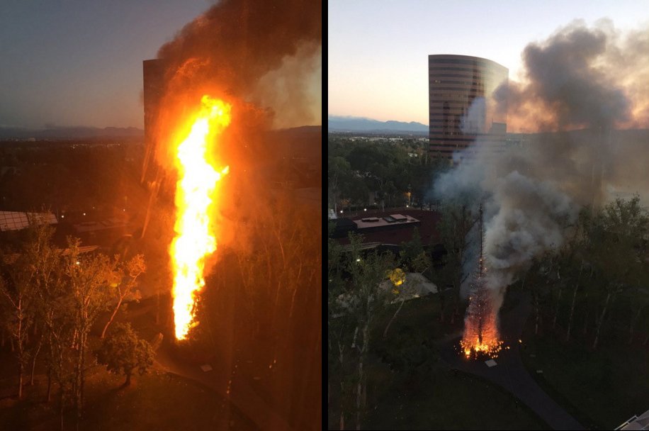 LAFDtalk's tweet photo. Tree had fire retardant. Imagine in your living room. #WaterTree #CheckLights #NoChristmasTreeFires pic=DavidSonger https://t.co/CcWTA1RJY7
