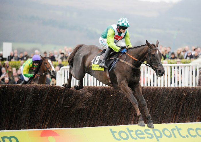 ArtToLifeLtd's tweet photo. Sale on select #Peruso aluminium prints - this #Denman #GoldCup win 20x16" only £185 incl delivery UK #horsehour https://t.co/tsD0ExblXw