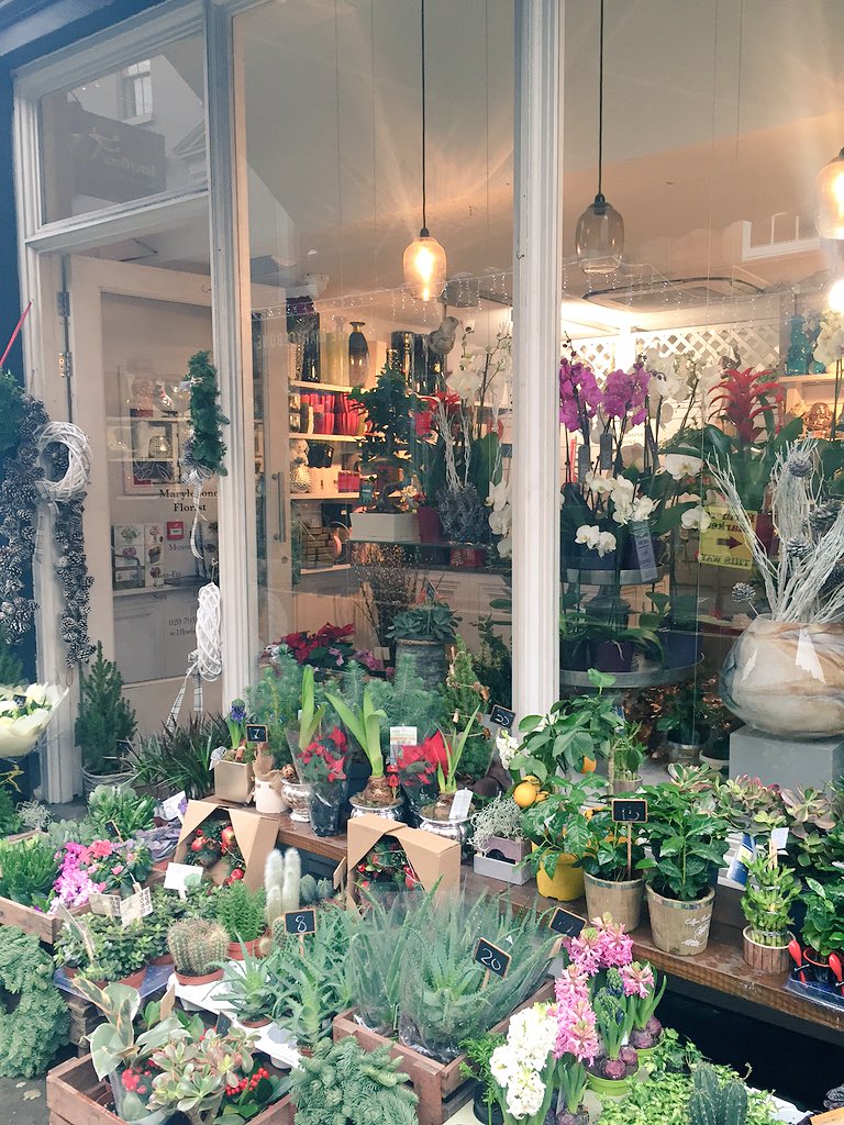 yourhairmatter's tweet photo. #beautiful #flower #shop #Marlybone #high #street #Christmas #spirit https://t.co/cqvtpZc8LZ