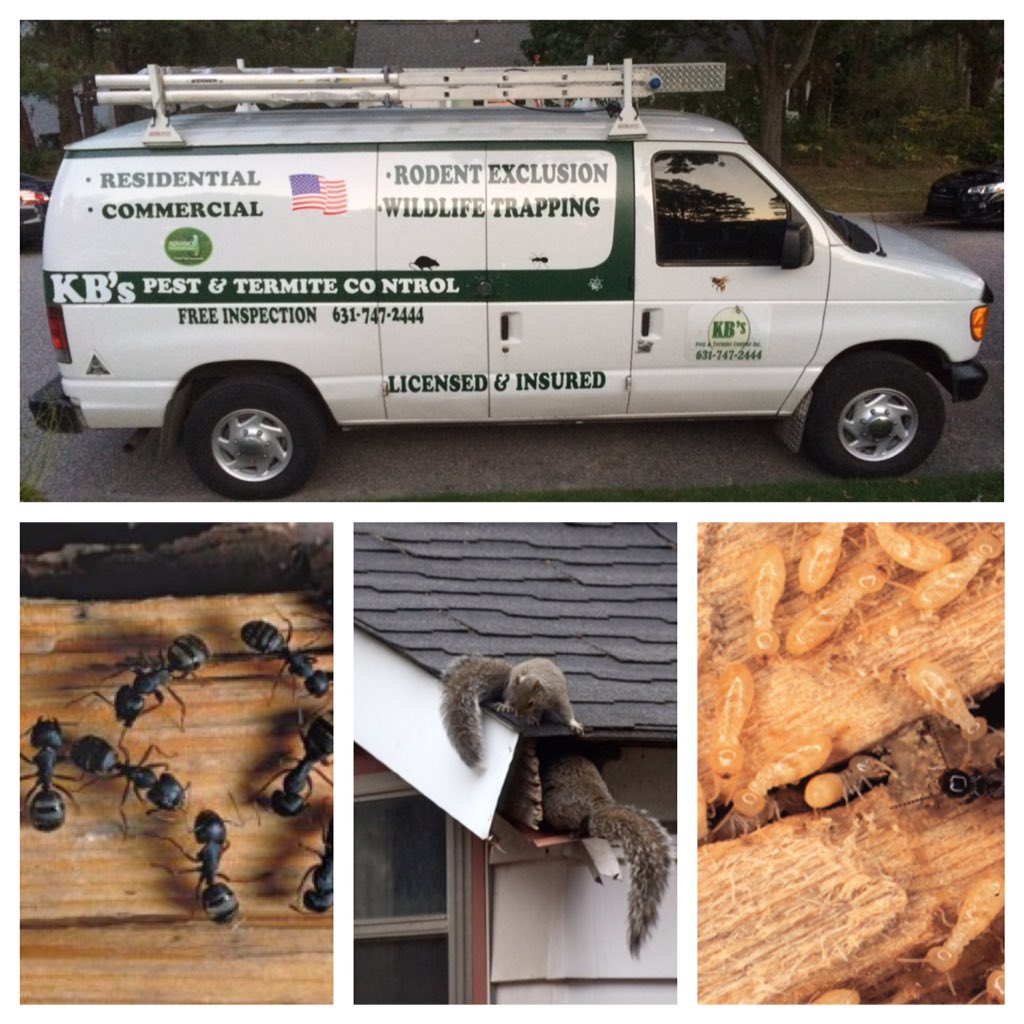 We can take care of all your #pest #problems #call for a #free #inspection