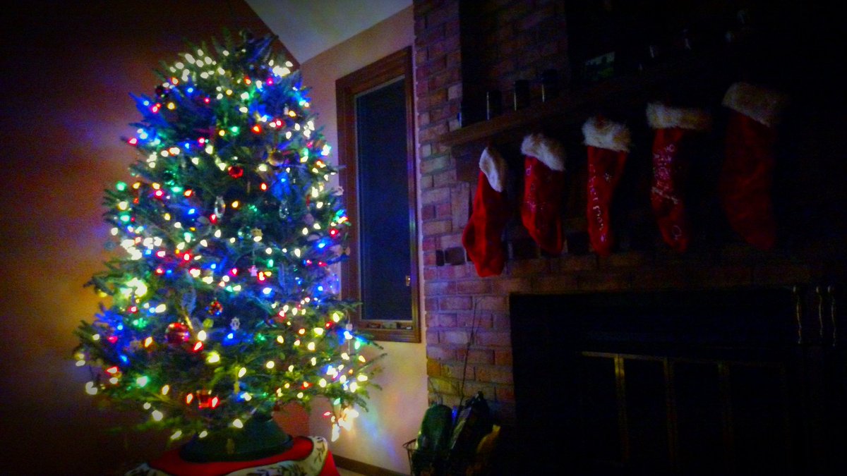 myhoneydoos's tweet photo. Christmas tree, stockings #donestamp ready for family! https://t.co/kpK5qcyfje