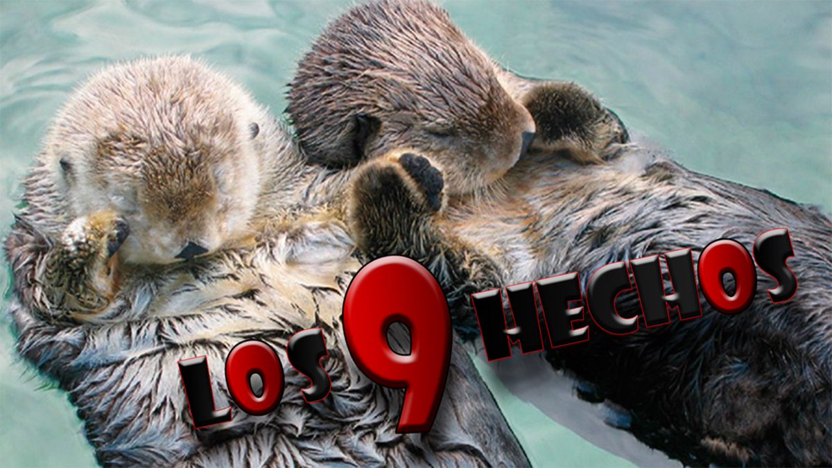 Ya está bien de tanto pesimismo! Desde <a href="/Los9Hechos/">Los 9 Hechos</a> os deseamos un ratito de ilusión! youtube.com/watch?v=SeDze_…