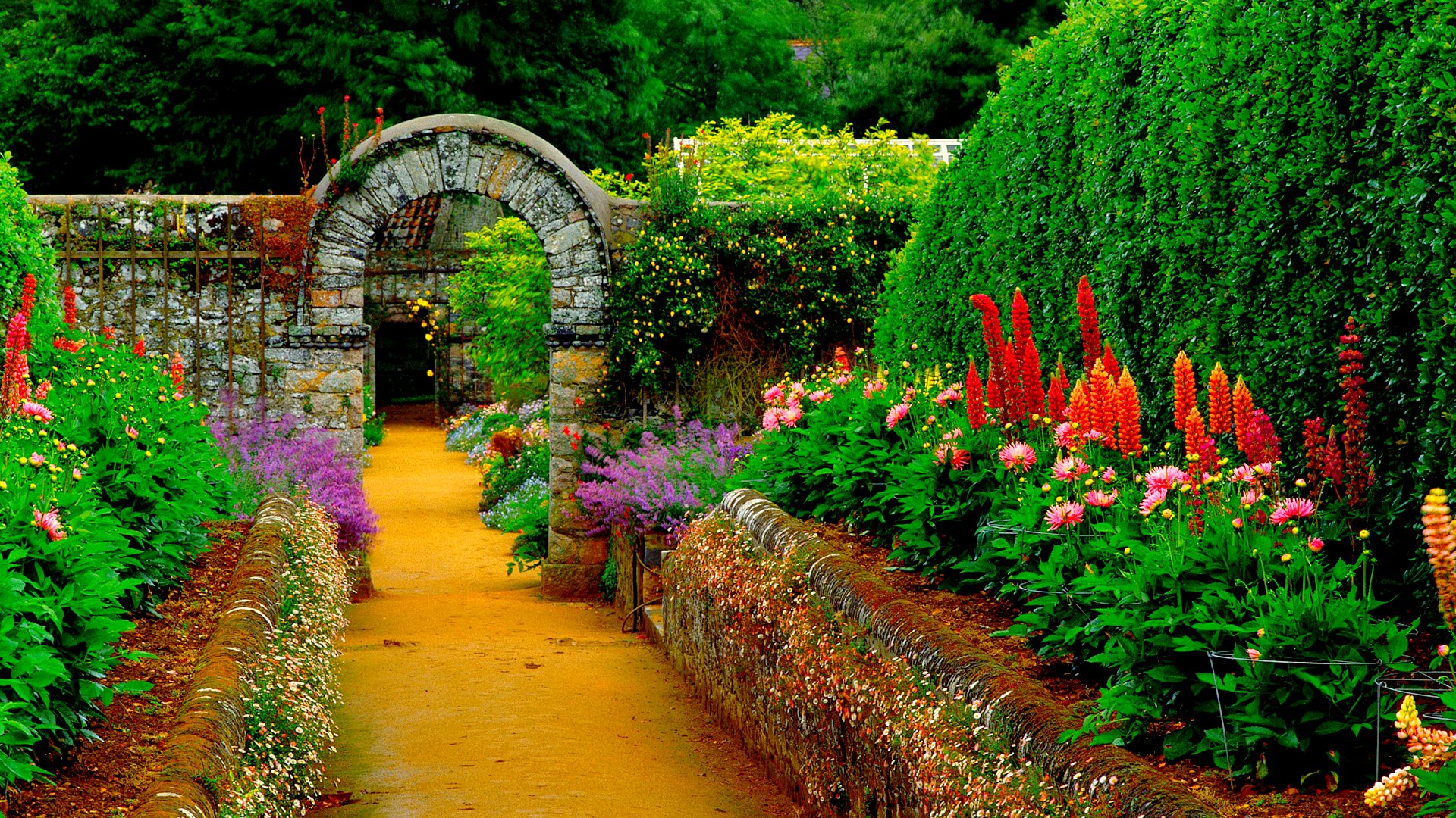 草木のこと 庭 を意味する英語のgardenも仏語のjardinも 柵に囲われた土地 をもともとは意味した パラダイスと云う言葉も古代ペルシャの柵で囲われた土地に語源があるという 柵の外は森 そこは人間以外が棲む場所だった T Co 0sxlmkvhg0