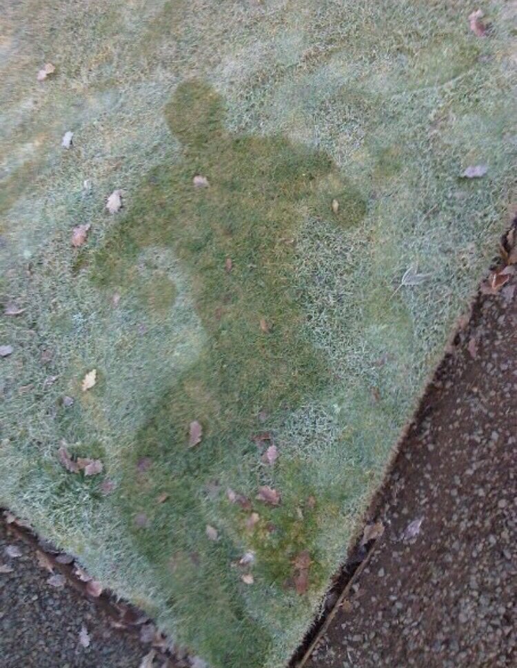 CauseWereGuys's tweet photo. "At a party last night and my buddy disappeared, this morning we found this..." https://t.co/BkMDrZ2SqA
