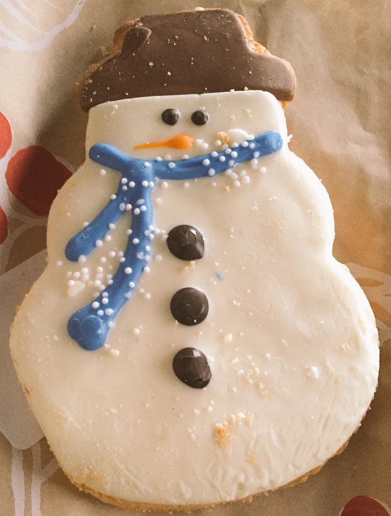 ~ Tis the season to my folly...                       🎄☃🌜