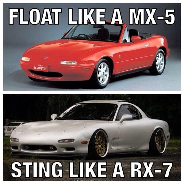MiazdaGang's tweet photo. https://t.co/tzGRPwmLna