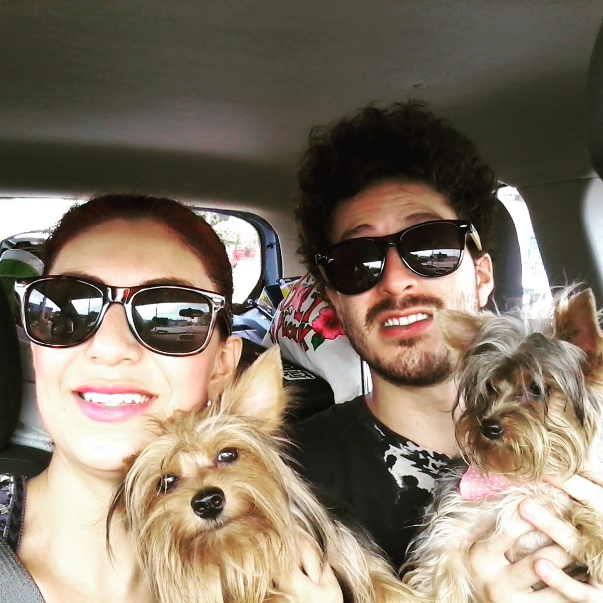 TravelGirl224's tweet photo. @AeroMexico #VacacionesParaSanta https://t.co/QpLnIElOHz
