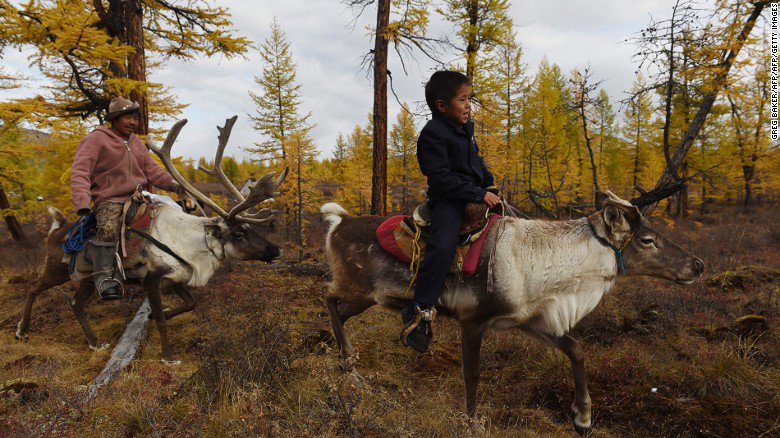 цаатаны тувинцы. народы тайги. тувинцы сойоты. эвены якутии. эвенки сойоты.