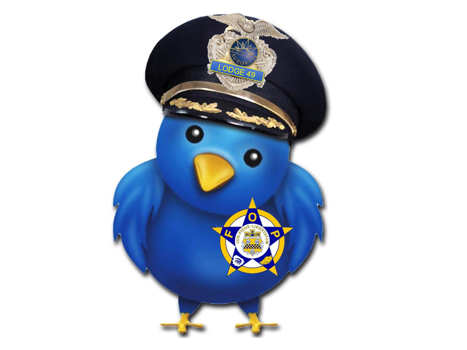 APDFOP49's tweet photo. Meet the #APDFOP Twitter bird! https://t.co/cCXBlUMtEJ