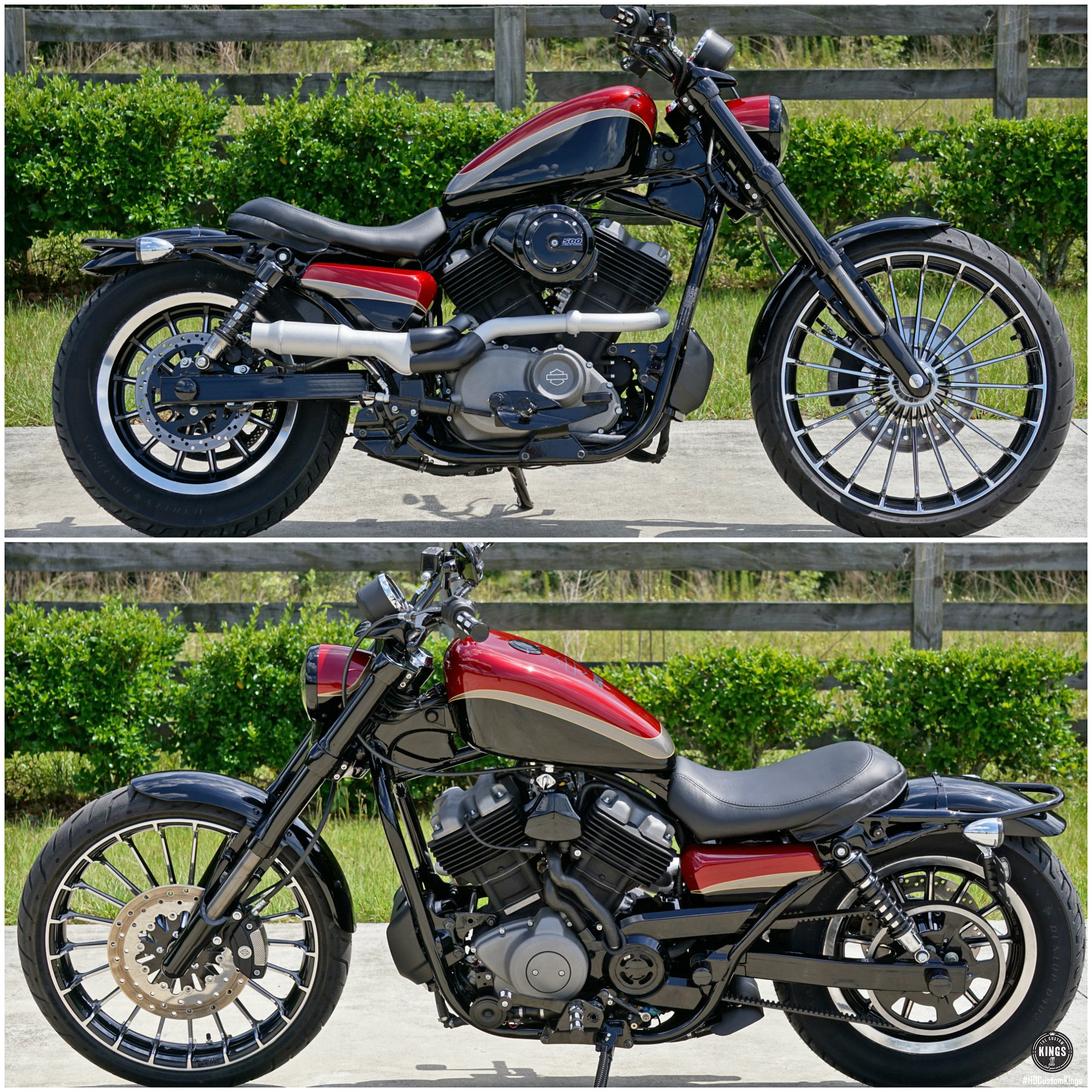 War horse harley deals