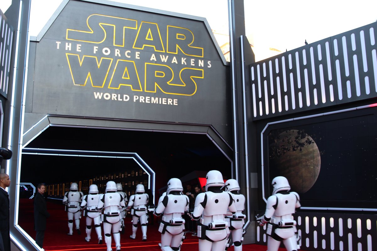 estefania perez tweet media