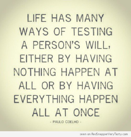 ankitgera001's tweet photo. https://t.co/cprVc8FzNV