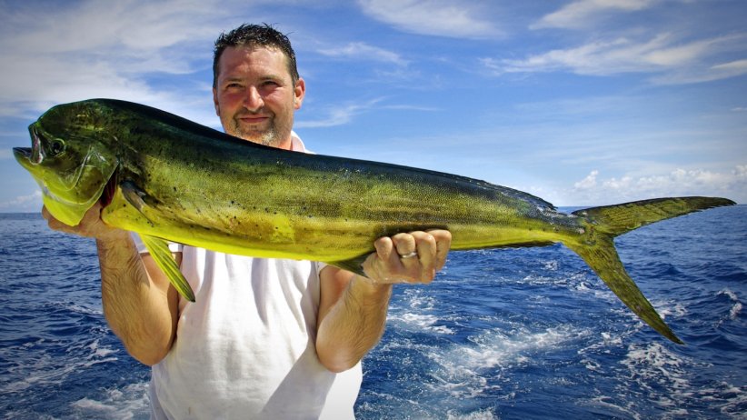 Don't Be Afraid to Be the Biggest Fish Splashing Around in the Smallest Pond puls.ly/kMpeow #business