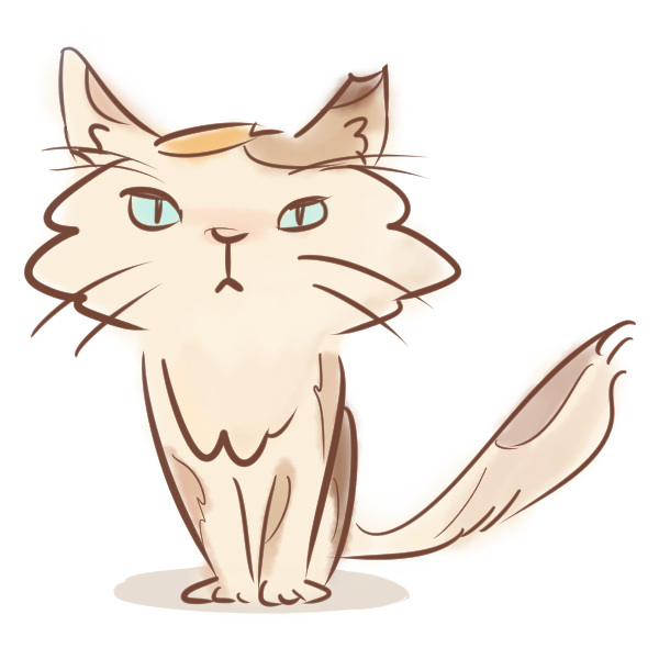 556cats's tweet photo. 猫イラスト　その１

ブログ->https://t.co/DAlFnSkTg8
#cat #illustration #猫 #ねこ #猫イラスト https://t.co/3g1pFNjukC