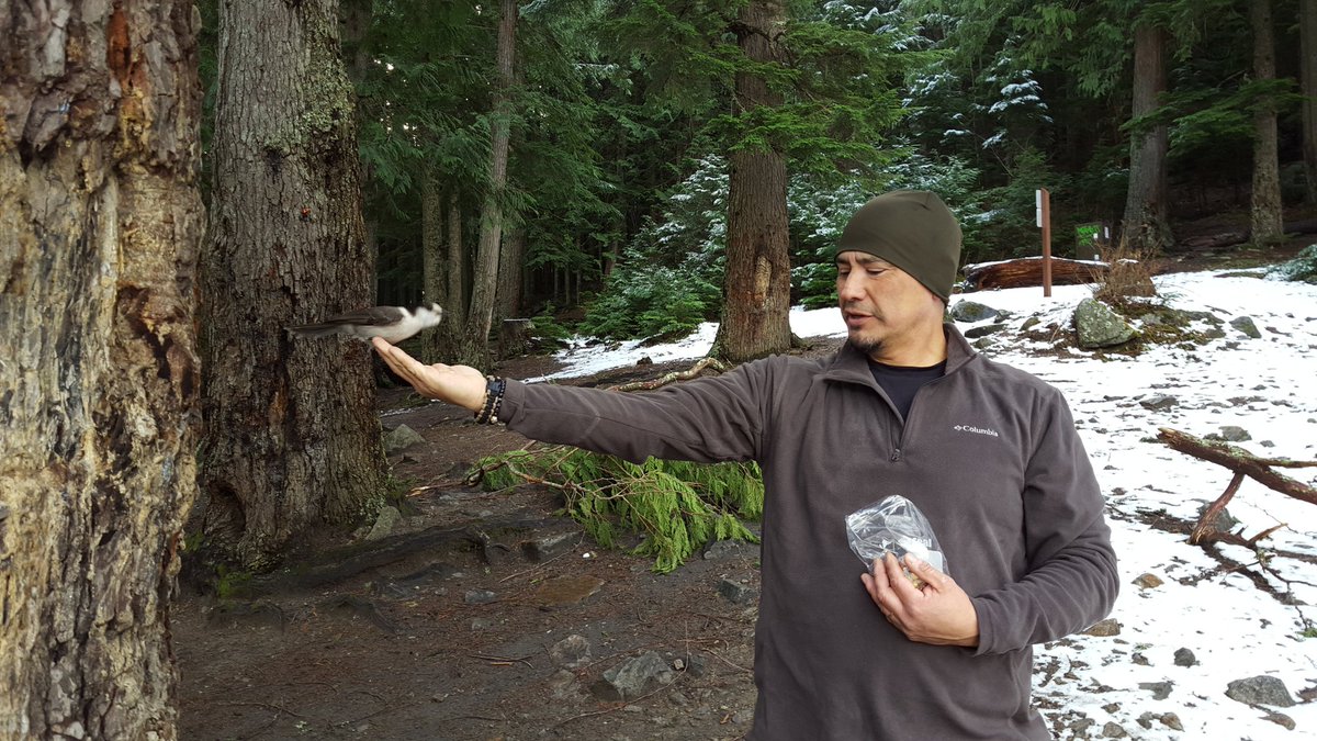 Marshall_abery2's tweet photo. Pt.2 we fed birds https://t.co/MCZWdDMWA3