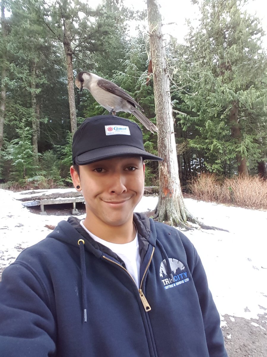 Marshall_abery2's tweet photo. Pt.2 we fed birds https://t.co/MCZWdDMWA3
