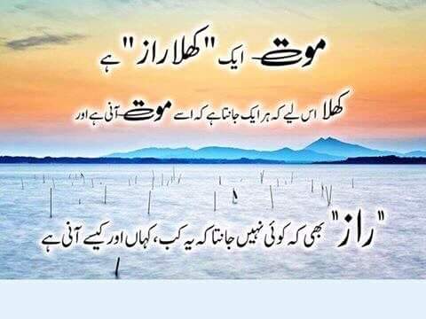 BilliAmna's tweet photo. @RamizRandhawa 
Good morning
@ChandsaMe6 
Heva nice day !!
@Ayeshak49043882 https://t.co/9SFGDGUM7B