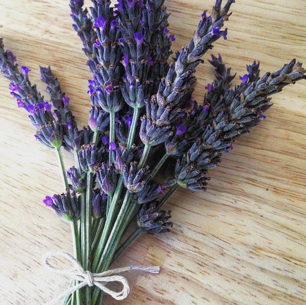 barrel_bug's tweet photo. Applewood Lavender Gin https://t.co/pwU6rZ5aj5 https://t.co/pzA83mqhBn