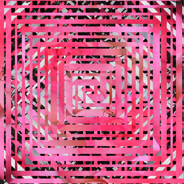 The_Hungry_Grad's tweet photo. Do you LOVE Instagram? Do you hoard these insta photos (no shame)? #sciencesolutions #MSDMA https://t.co/e0Ji2Yp0d9 https://t.co/yFH7Yb6r1F