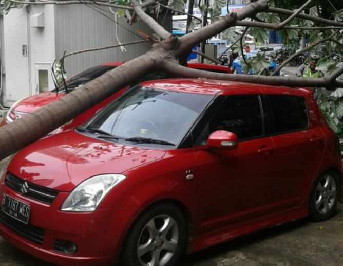 Metro_TV's tweet photo. Pohon Tumbang Timpa Mobil Polisi di Bundaran HI https://t.co/EsNCC28WGd https://t.co/Mr66hBlgZa