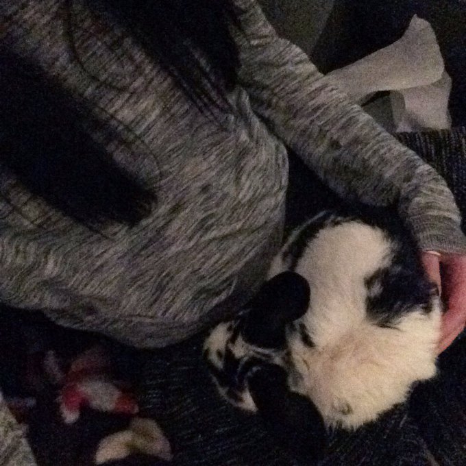 Watch theobanoth's leaked NSFW photo on TwXstars