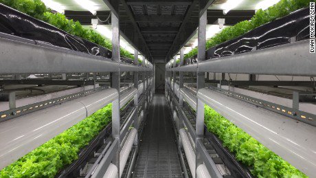 Could this high-tech vertical farm in Japan change how we feed ourselves? cnn.it/1ROHdDe